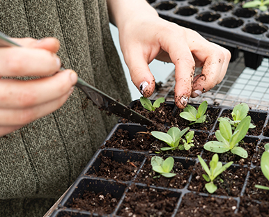 خدمة الجمعية الأولي