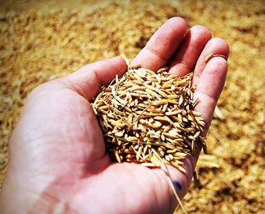 خدمة الجمعية الثانية